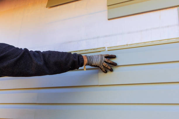 Best Wood Siding Installation  in USA